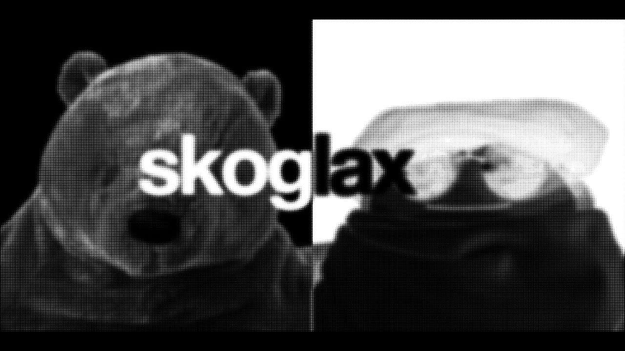 Cover image from SKOGLAX - SLMIX000 | DJ SKOG B2B HAUSLAX